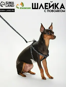 Шлейка с поводком Шлейка с поводком