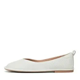 SALAMANDER SALAMANDER