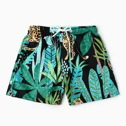 Трусы Трусы