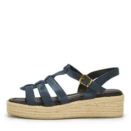 SALAMANDER SALAMANDER