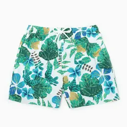 Трусы Трусы