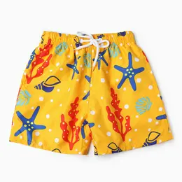 Трусы Трусы