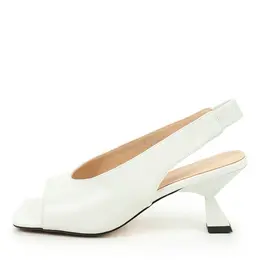 Thomas Munz Thomas Munz