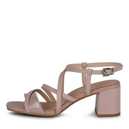 SALAMANDER SALAMANDER