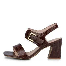 SALAMANDER SALAMANDER