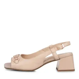 SALAMANDER SALAMANDER