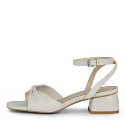 SALAMANDER SALAMANDER