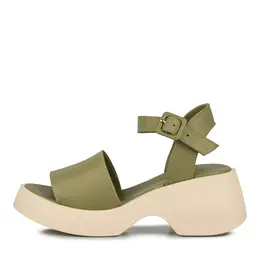 SALAMANDER SALAMANDER