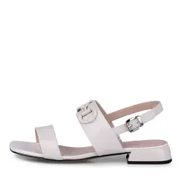 SALAMANDER SALAMANDER