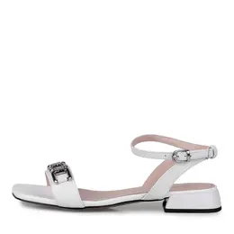 SALAMANDER SALAMANDER