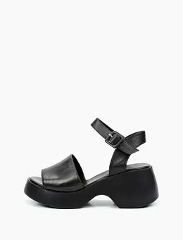 SALAMANDER SALAMANDER