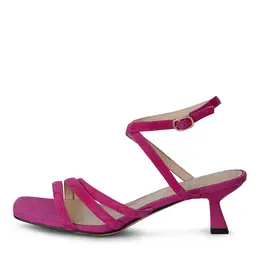 SALAMANDER SALAMANDER