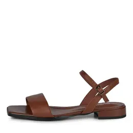 SALAMANDER SALAMANDER