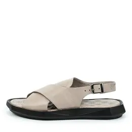 Thomas Munz Thomas Munz