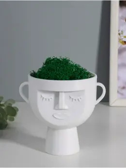 Стабилизированный мох в кашпо пластиковом Стабилизированный мох в кашпо пластиковом