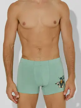 Трусы боксеры мужские с печатью викинга