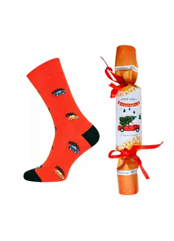 Носки мужские БРЕСТСКИЕ SOXY 21С4200К NEW YEAR (в виде конфеты) Носки мужские БРЕСТСКИЕ SOXY 21С4200К NEW YEAR (в виде конфеты)