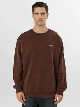 Свитшот мужской коричневый с печатью