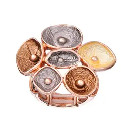 Кольцо Кольцо