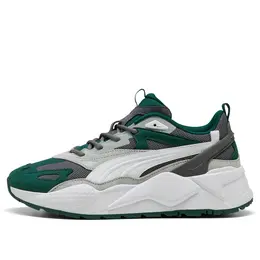 Мужские кроссовки RS-X Efekt