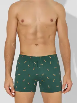 Трусы шорты мужские зеленые с узором