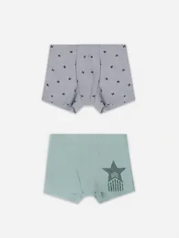 Трусы для мальчиков (2шт.)