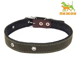 Ошейник брезентовый на фетре, 62×2.5 см, ош 30-55 см, темно-зеленый