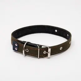 Ошейник брезентовый на фетре, 64×3 см, ош 30-55 см, темно-зеленый