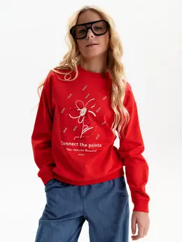 Толстовка Толстовка