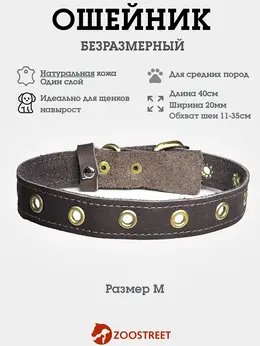 Ошейник безразмерный, 40×2 см, с подпряжником, кожа, коричневый Ошейник безразмерный, 40×2 см, с подпряжником, кожа, коричневый