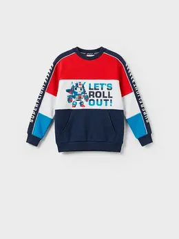 Толстовка трикотажная