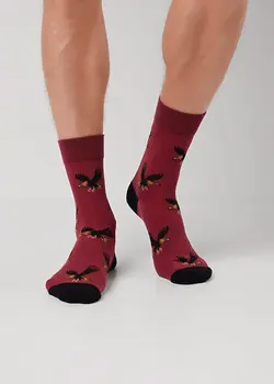 Носки Носки