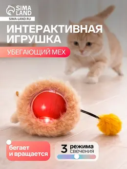 Интерактивная игрушка для кошек Интерактивная игрушка для кошек