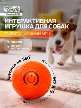 Интерактивная игрушка для собак