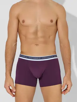 Трусы боксеры мужские анатомические фиолетовые