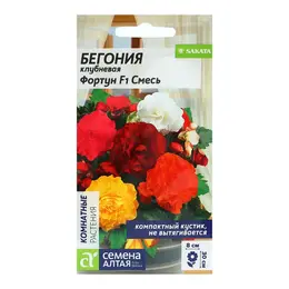 Семена цветов бегония