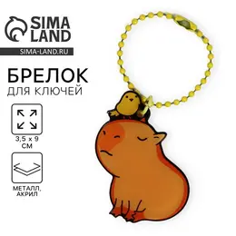 Брелок для ключей акриловый на цепочке Брелок для ключей акриловый на цепочке