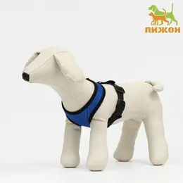 Шлейка мягкая, размер s, ош 24 см, ог 24-34 см, неопрен, синяя Шлейка мягкая, размер s, ош 24 см, ог 24-34 см, неопрен, синяя