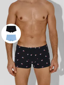 Трусы мужские (2шт)