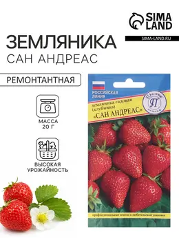 Семена земляника ремонтантная