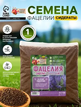 Семена фацелия