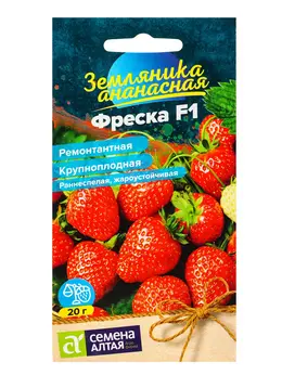 Семена земляника Семена земляника