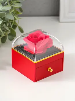 Шкатулка для украшений Шкатулка для украшений