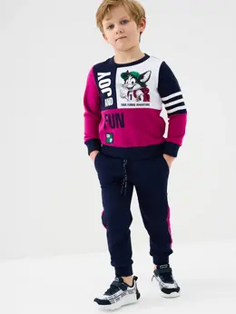 Комплект брюки толстовка