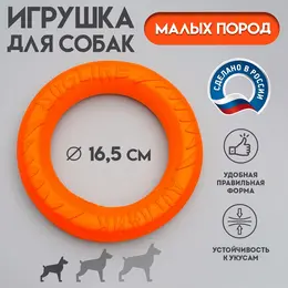 Кольцо Кольцо