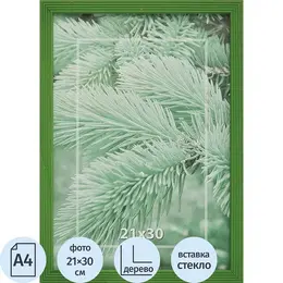 Рамка А4 21x30 см деревянный багет 16 мм салатовая