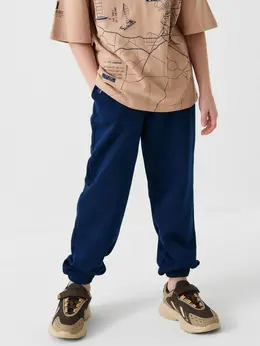 Джоггеры для мальчика подростка на каждый день, хлопковый футер