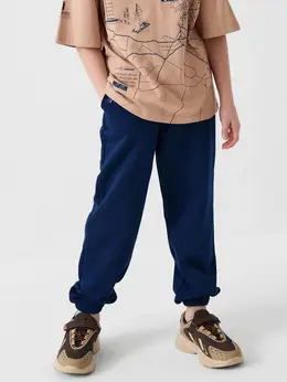 Брюки трикотажные