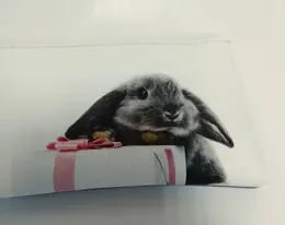 Косметичка