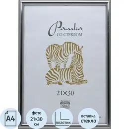 Рамка Зебра А4 21x30 см пластиковый багет 14 мм серебристая